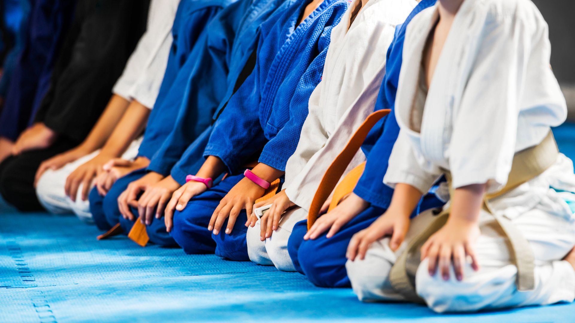 Which Martial Arts is the Best?